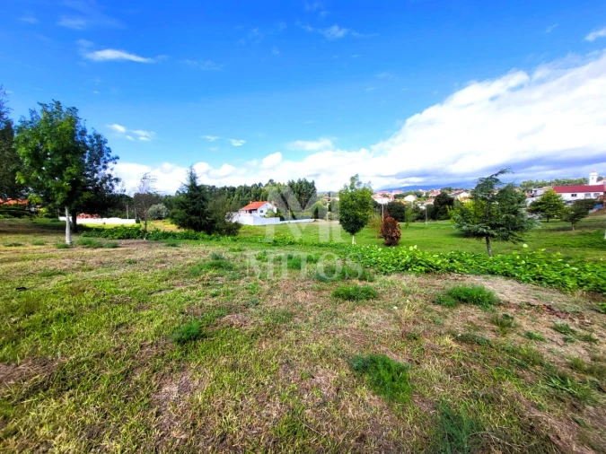 Terreno para Venda em Alvarães Foto 5