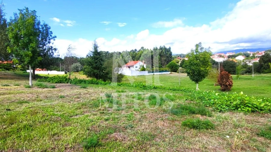Terreno para Venda em Alvarães