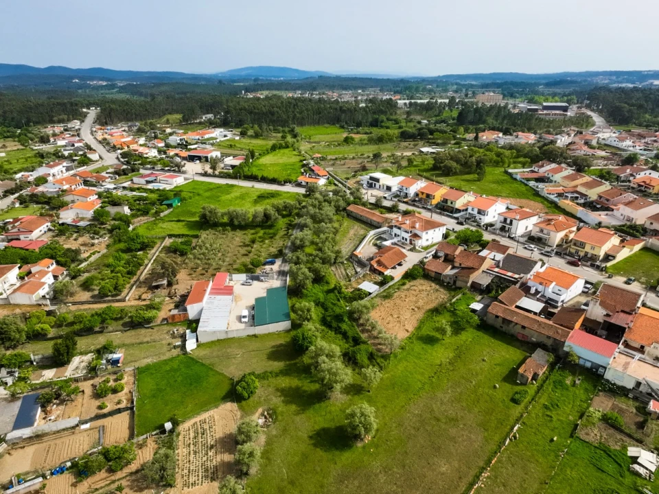 Terreno para Venda em Mealhada, Ventosa do Bairro e Antes Foto 5