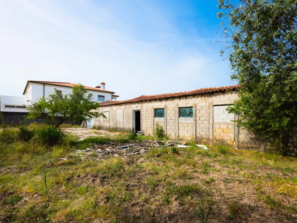 Terreno para Venda em Mealhada, Ventosa do Bairro e Antes Foto 9