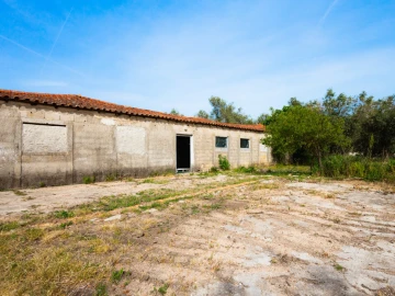 Terreno para Venda em Mealhada, Ventosa do Bairro e Antes