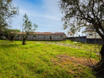 Terreno para Venda em Mealhada, Ventosa do Bairro e Antes