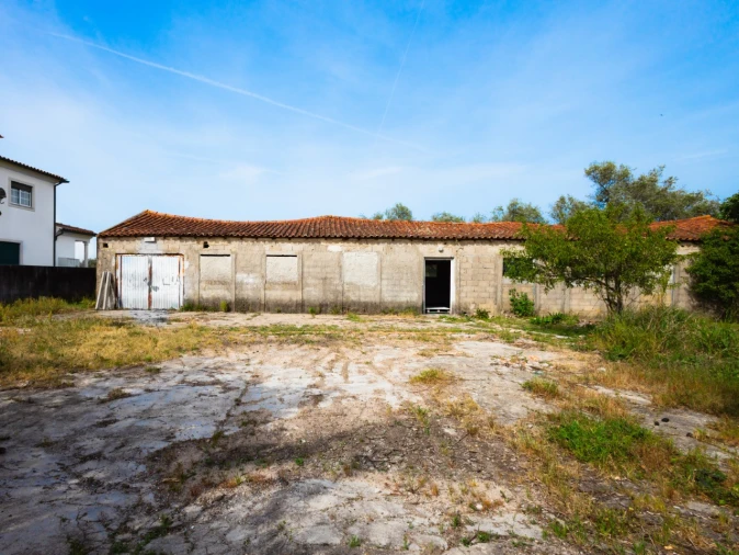 Terreno para Venda em Mealhada, Ventosa do Bairro e Antes Foto 7