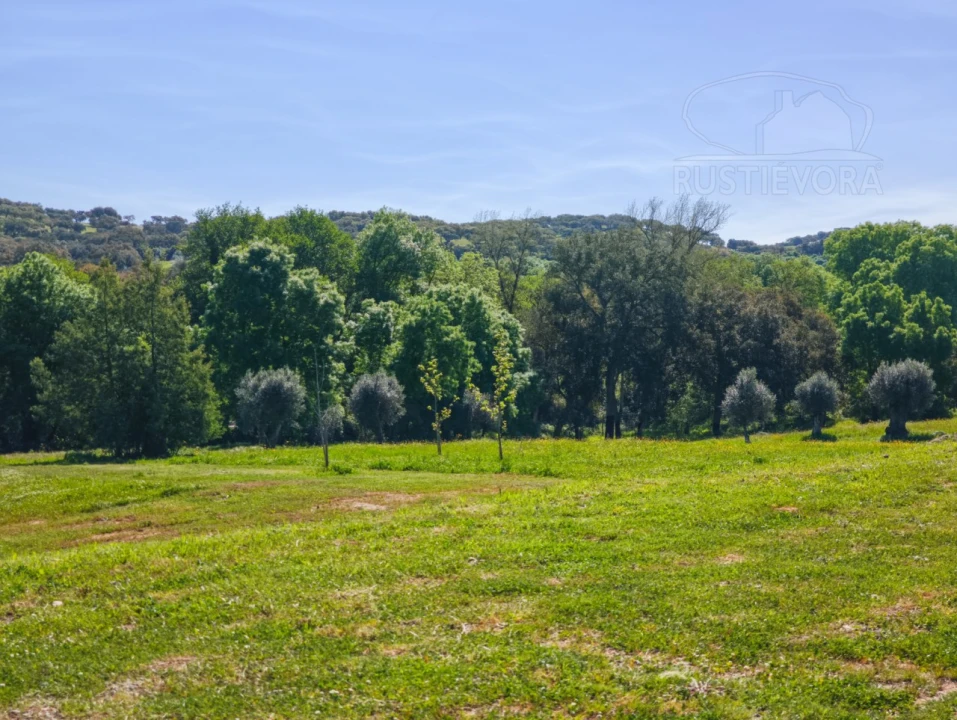 Quinta T6 para Venda em Nossa Senhora da Vila, Nossa Senhora do Bispo e Silveiras Foto 59
