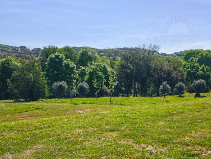 Quinta T6 para Venda em Nossa Senhora da Vila, Nossa Senhora do Bispo e Silveiras Foto 59