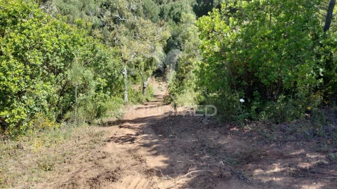 Terreno para Venda em São Francisco da Serra