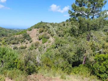 Terreno para Venda em São Francisco da Serra