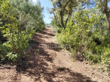 Terreno para Venda em São Francisco da Serra