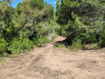 Terreno para Venda em São Francisco da Serra