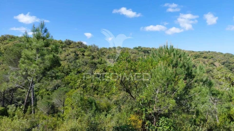 Terreno para Venda em São Francisco da Serra