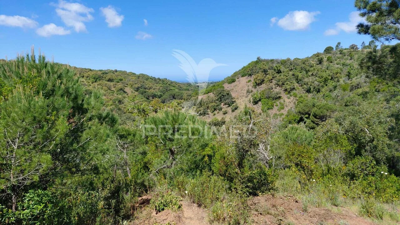 Terreno para Venda em São Francisco da Serra Foto 5