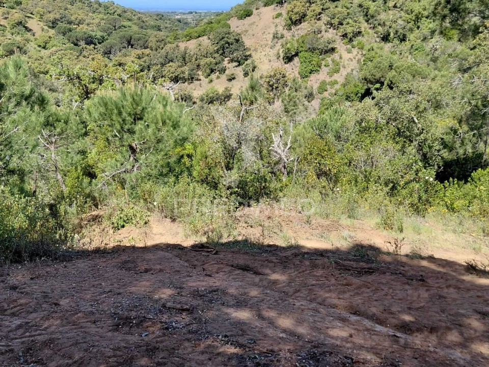 Terreno para Venda em São Francisco da Serra Foto 1