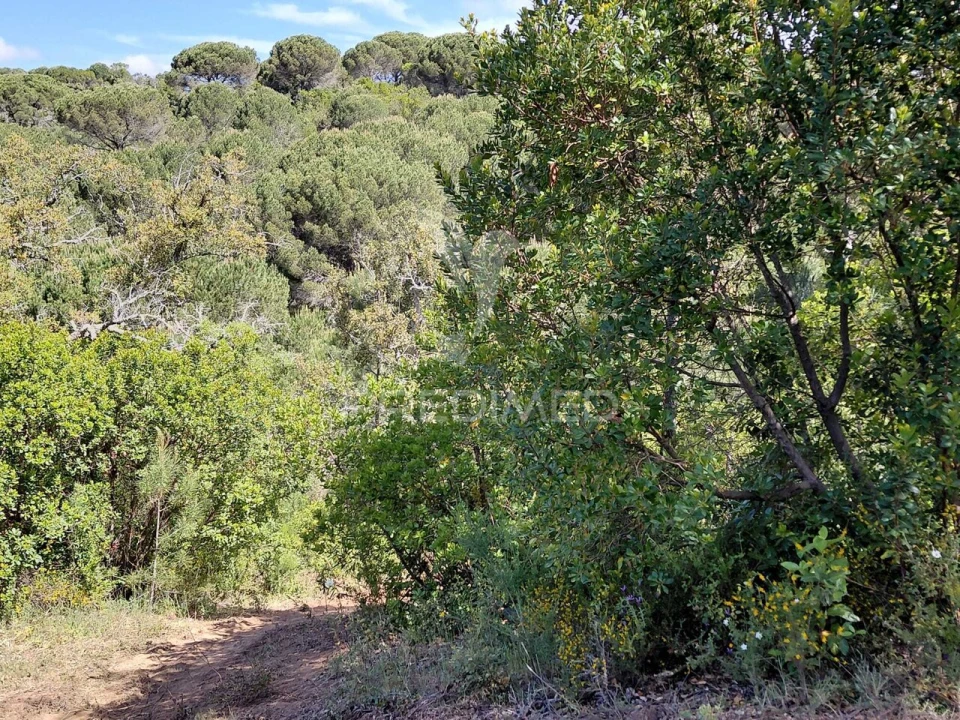 Terreno para Venda em São Francisco da Serra Foto 11