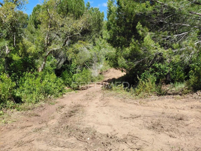 Terreno para Venda em São Francisco da Serra Foto 7