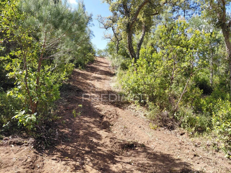 Terreno para Venda em São Francisco da Serra Foto 13