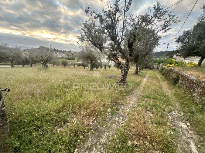 Moradia T3 para Venda em Vidago, Arcossó, Selhariz, Vilarinho Paranheiras Foto 9
