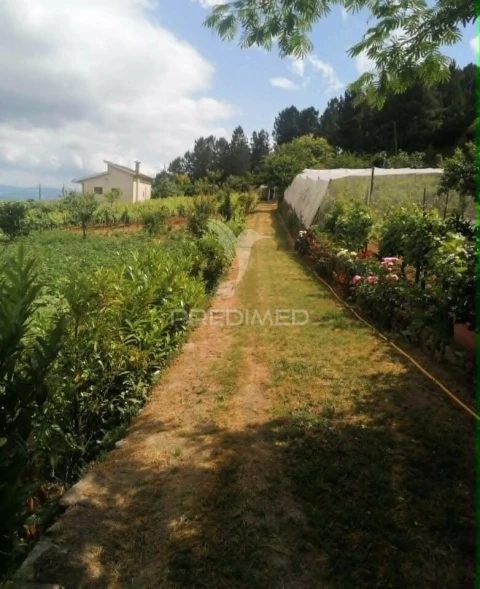Terreno para Venda em Torgueda