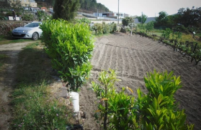 Terreno para Venda em Torgueda