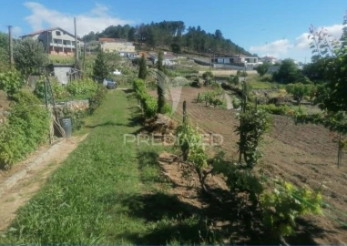 Terreno para Venda em Torgueda