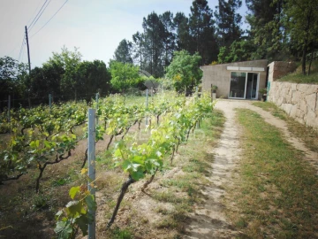 Terreno para Venda em Torgueda