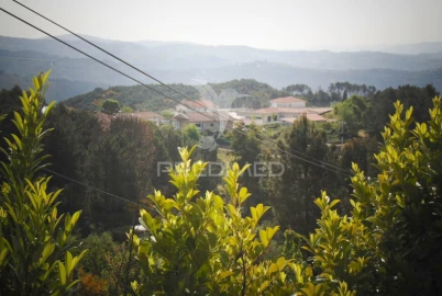Terreno para Venda em Torgueda