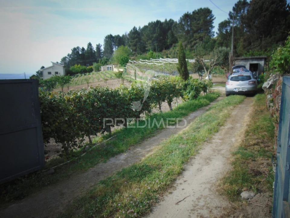 Terreno para Venda em Torgueda Foto 2