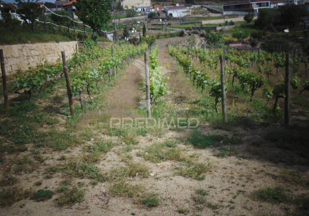 Terreno para Venda em Torgueda Foto 22