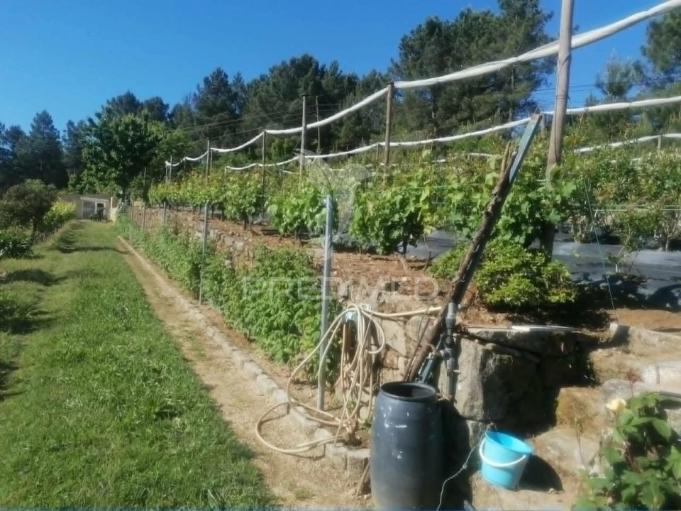 Terreno para Venda em Torgueda Foto 21