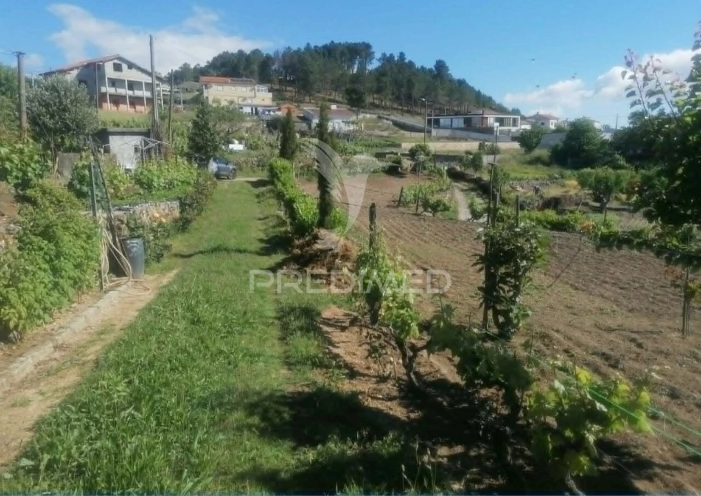 Terreno para Venda em Torgueda Foto 40