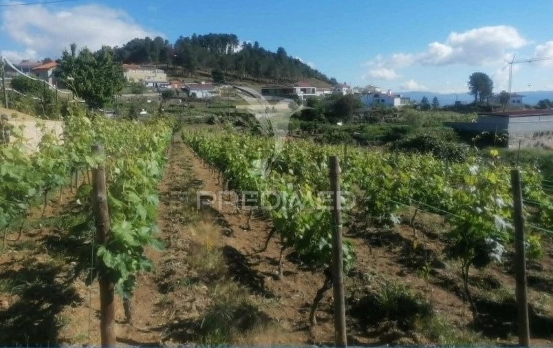 Terreno para Venda em Torgueda Foto 39