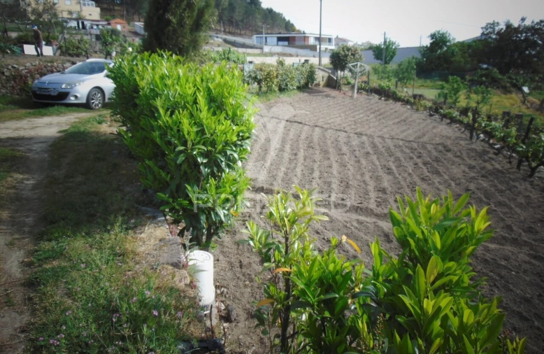 Terreno para Venda em Torgueda Foto 12