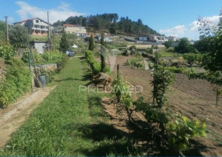 Terreno para Venda em Torgueda Foto 40