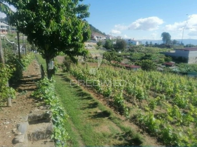 Terreno para Venda em Torgueda Foto 24