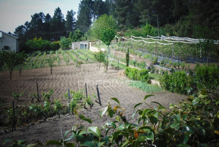 Terreno para Venda em Torgueda Foto 9