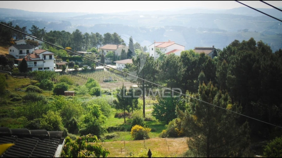 Terreno para Venda em Torgueda