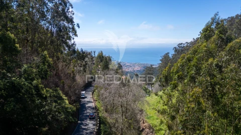 Terreno para Venda em Santo Antonio