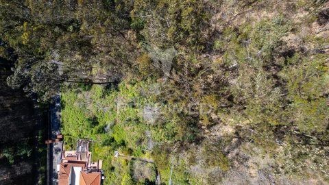 Terreno para Venda em Santo Antonio