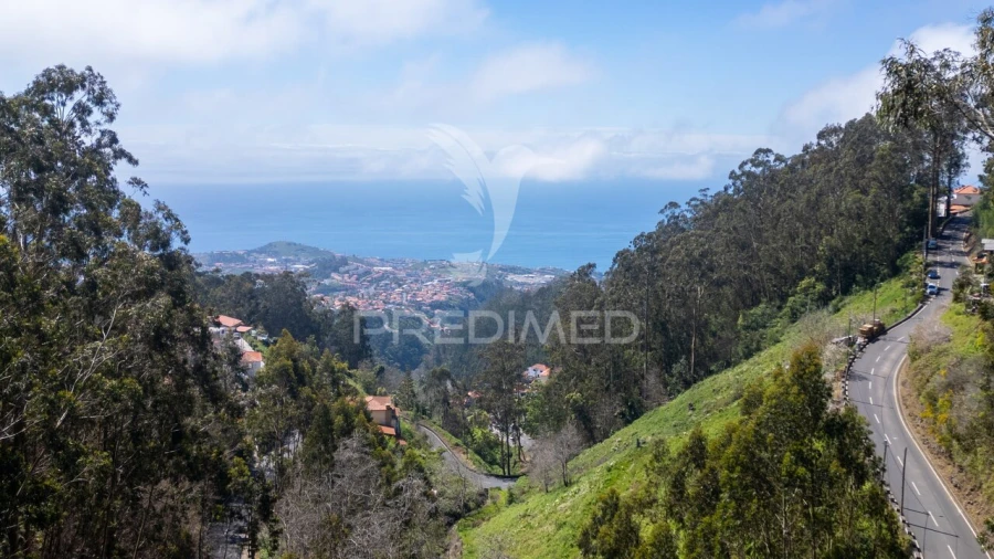 Terreno para Venda em Santo Antonio Foto 4