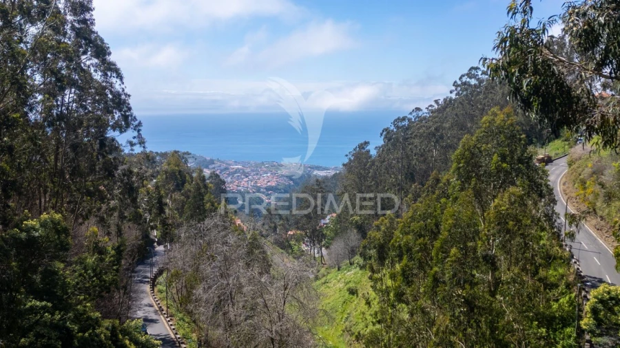 Terreno para Venda em Santo Antonio Foto 5