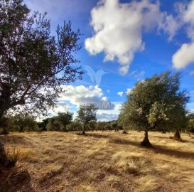 Quinta T1 para Venda em Redondo