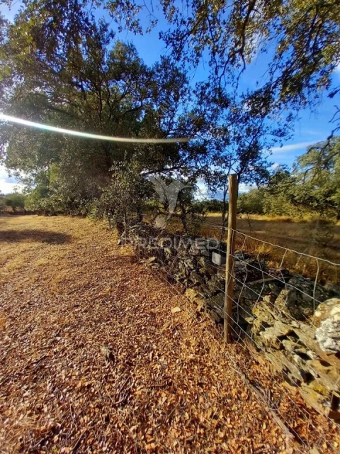 Quinta T1 para Venda em Redondo