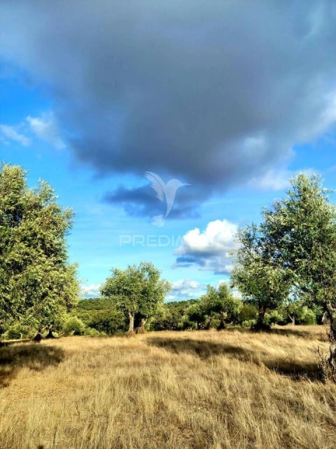 Quinta T1 para Venda em Redondo