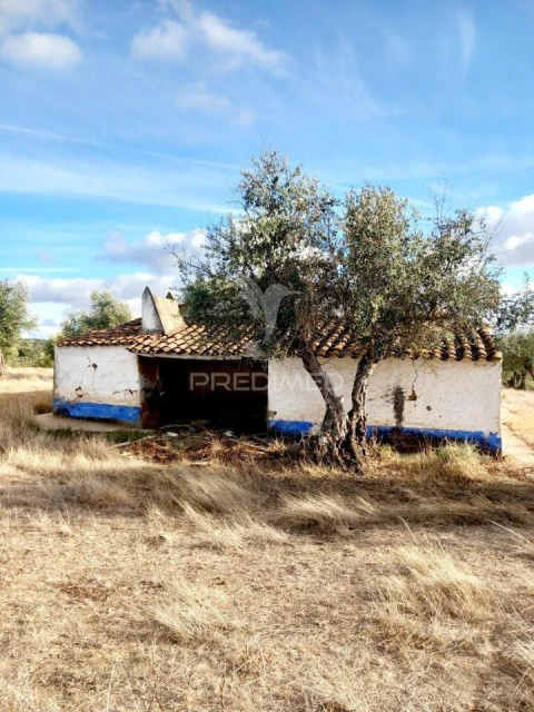 Quinta T1 para Venda em Redondo