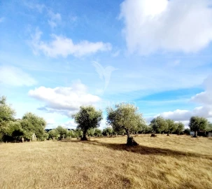 Quinta T1 para Venda em Redondo