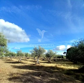 Quinta T1 para Venda em Redondo