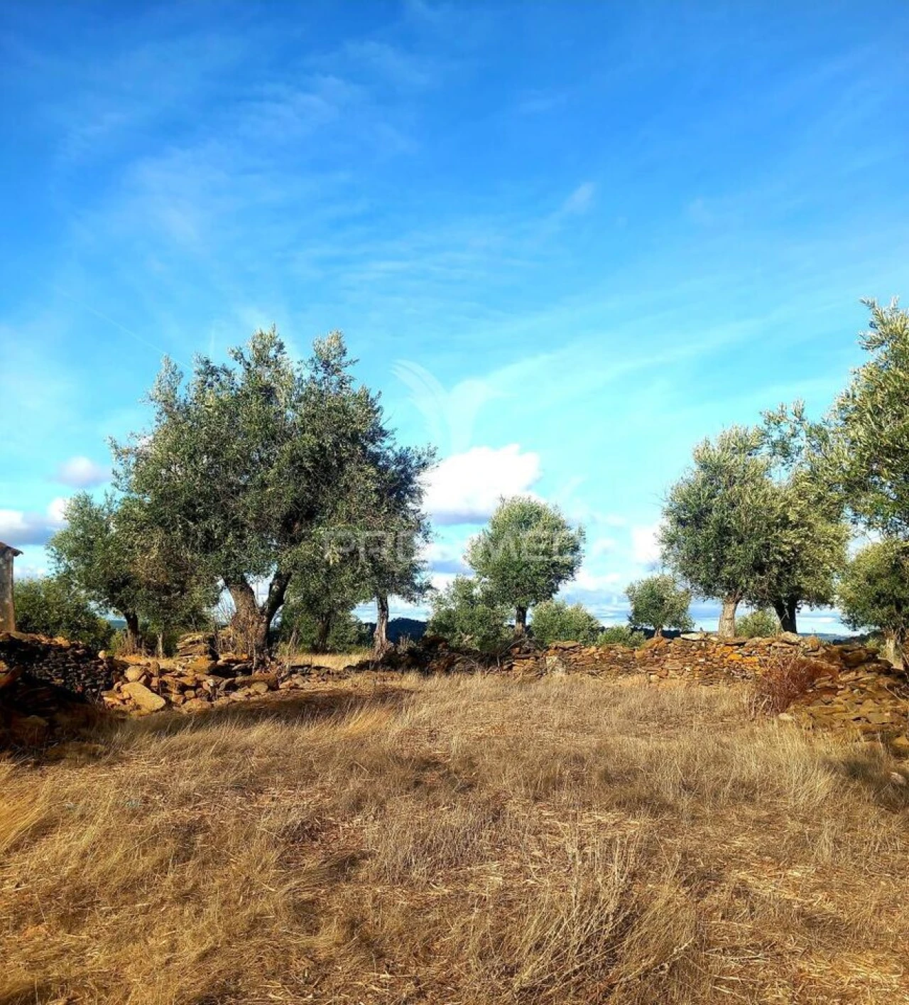 Quinta T1 para Venda em Redondo Foto 22