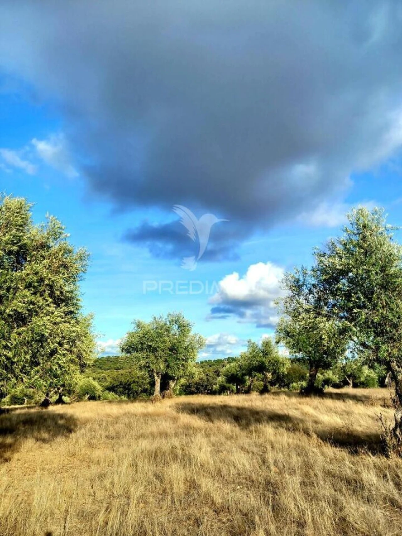 Quinta T1 para Venda em Redondo Foto 25