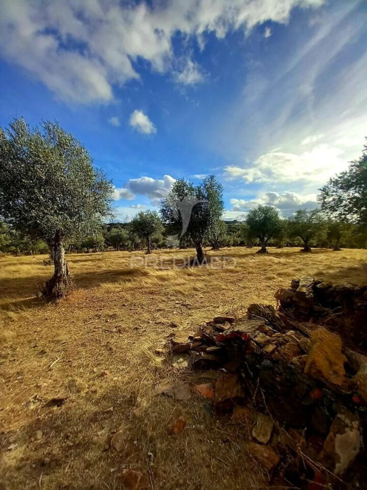 Quinta T1 para Venda em Redondo Foto 24