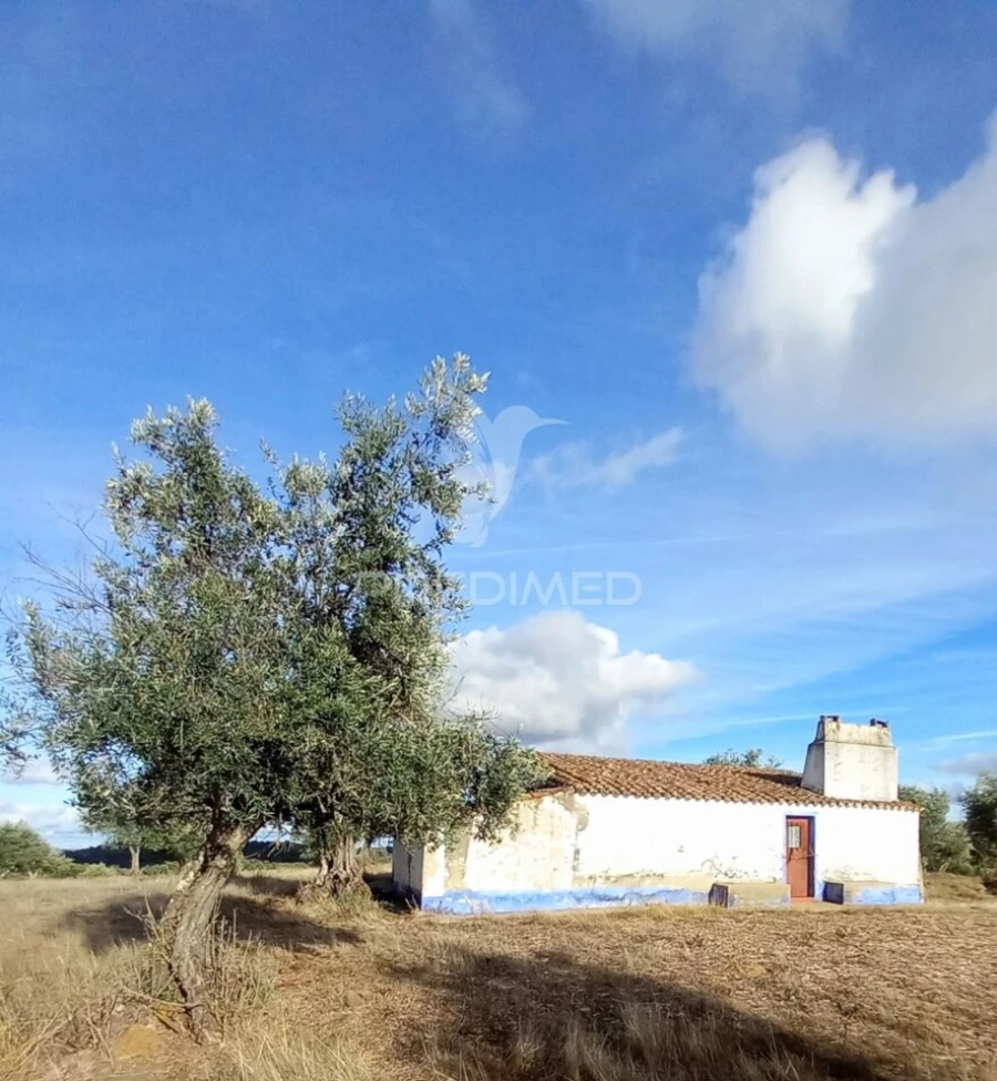 Quinta T1 para Venda em Redondo Foto 3