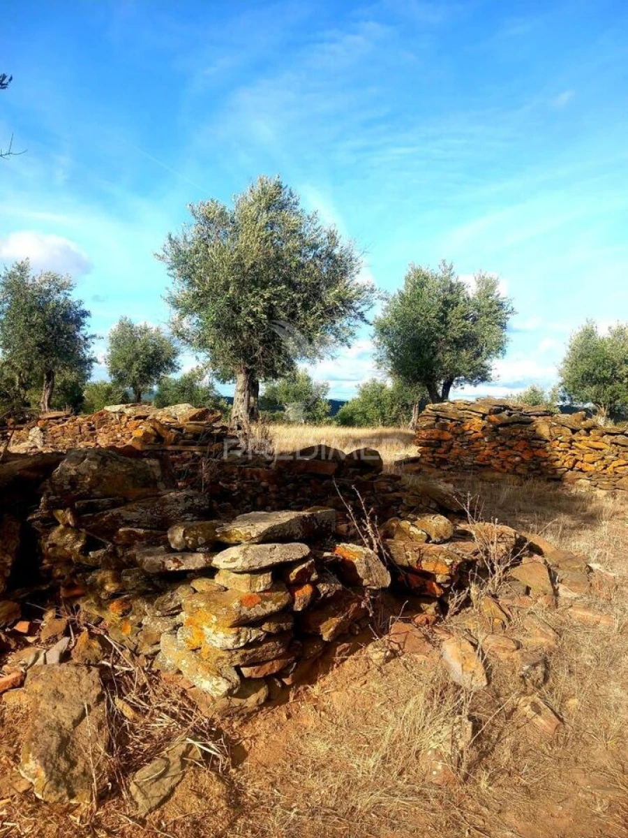 Quinta T1 para Venda em Redondo Foto 21